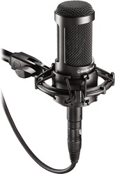 Audio-Technica AT2035 Geniş Diyafram Kondenser Stüdyo Mikrofonu - 1