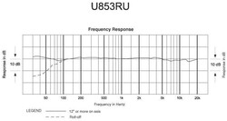 Audio-Technica U853RU Sarkıt Tipi Mikrofon - 2
