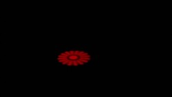 Eclips Flower Scan 2W RGB Sese Duyarlı Otomatik - 2