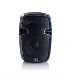 SSP JS12 12 inç 360W Prg 2 Yollu Aktif Kabin - SSP